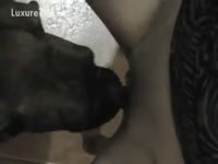 Horny couple have threesome with dog